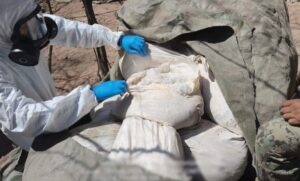 Localizan 3 laboratorios y 4 toneladas de metanfetaminas en Sinaloa
